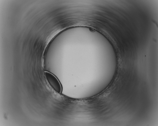 X0000103420900200809261704