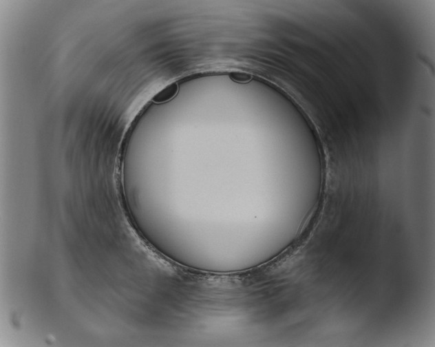 X0000103420901200809261704