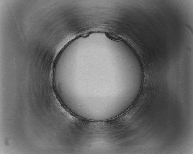X0000103420902200809261704