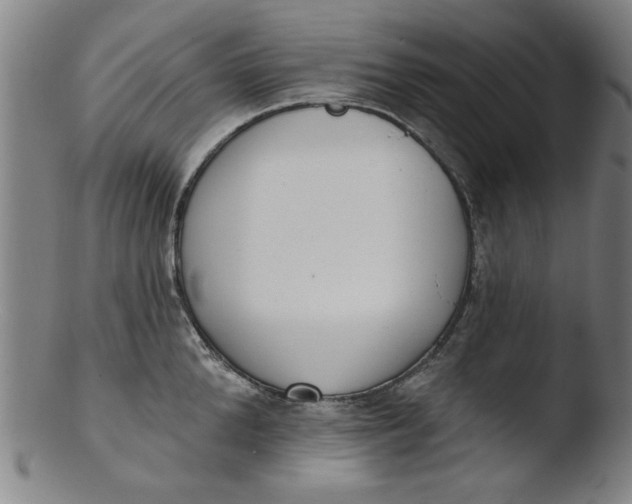X0000103420904200809261704
