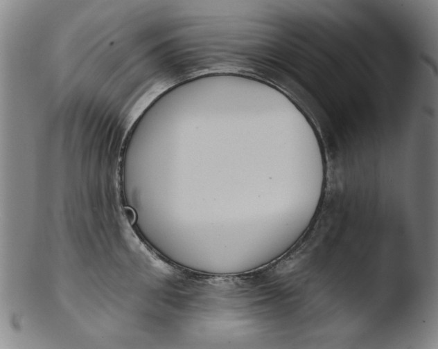 X0000103420906200809261704