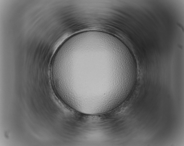 X0000103420907200809261704