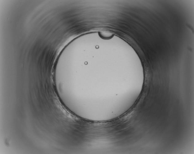 X0000103420908200809261704