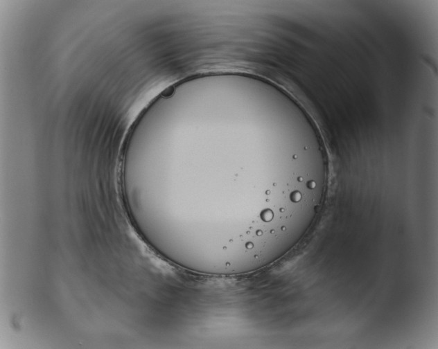 X0000103420909200809261704