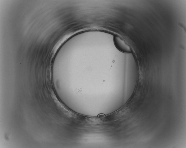 X0000103420911200809261704