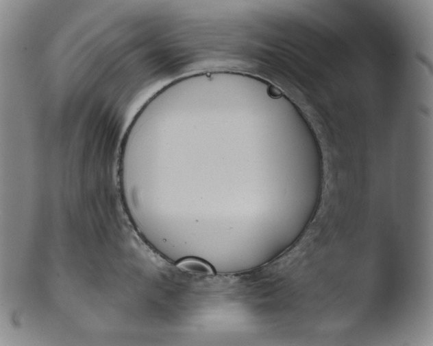 X0000103420912200809261704