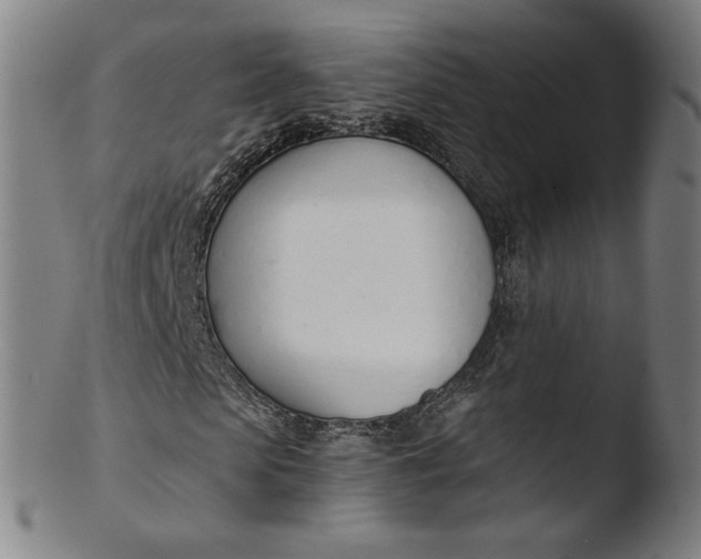 X0000103420913200809261703