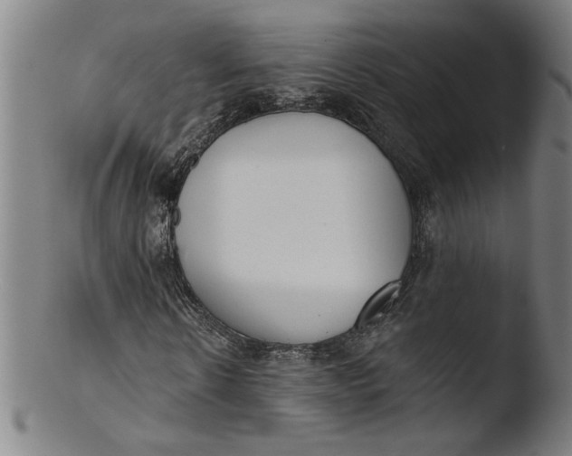 X0000103420914200809261703