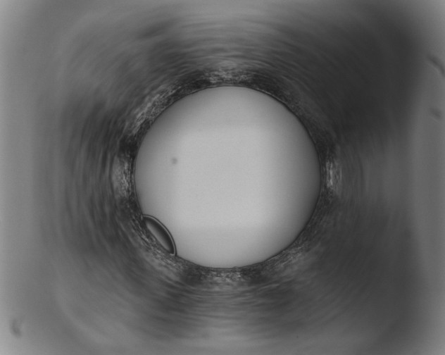 X0000103420915200809261703
