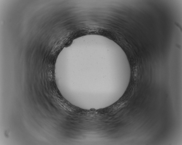 X0000103420916200809261703