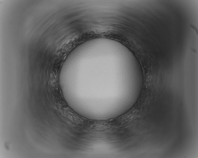 X0000103420917200809261703