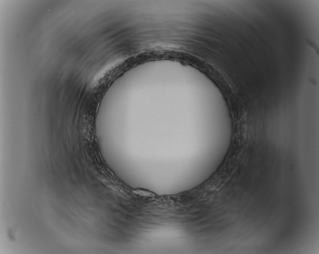 X0000103420919200809261703
