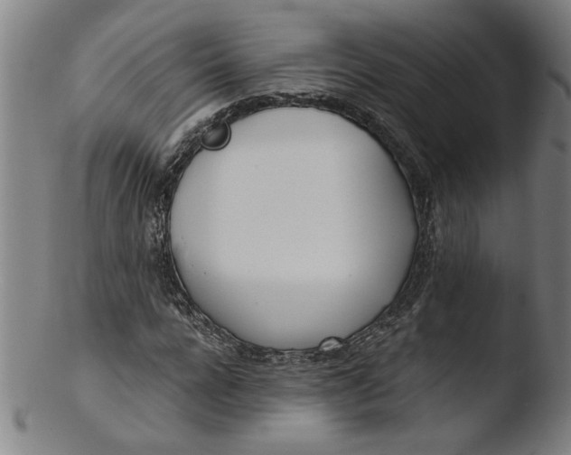 X0000103420920200809261703