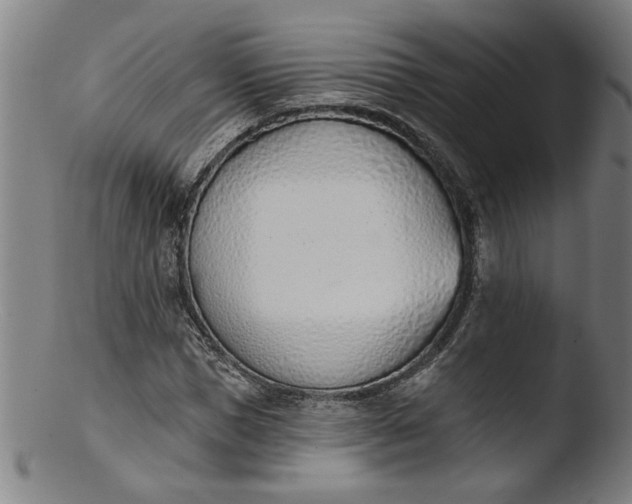 X0000103420921200809261703
