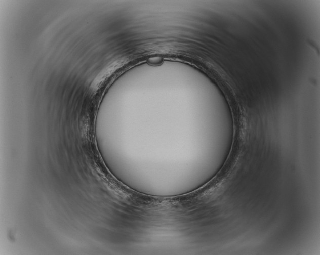 X0000103420922200809261703