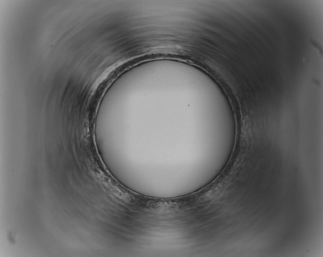 X0000103420923200809261703