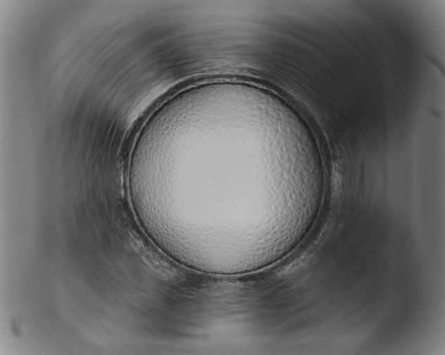 X0000103420925200809261703