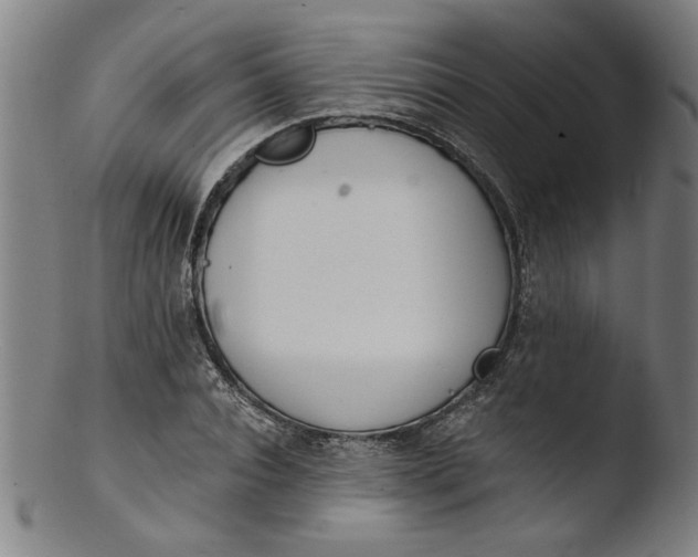 X0000103420928200809261703