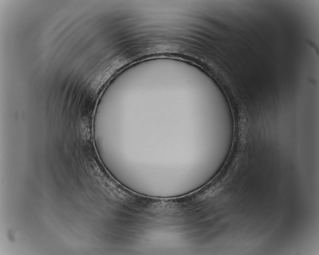 X0000103420929200809261703
