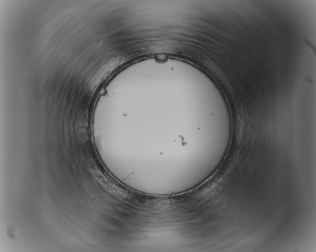 X0000103420930200809261703
