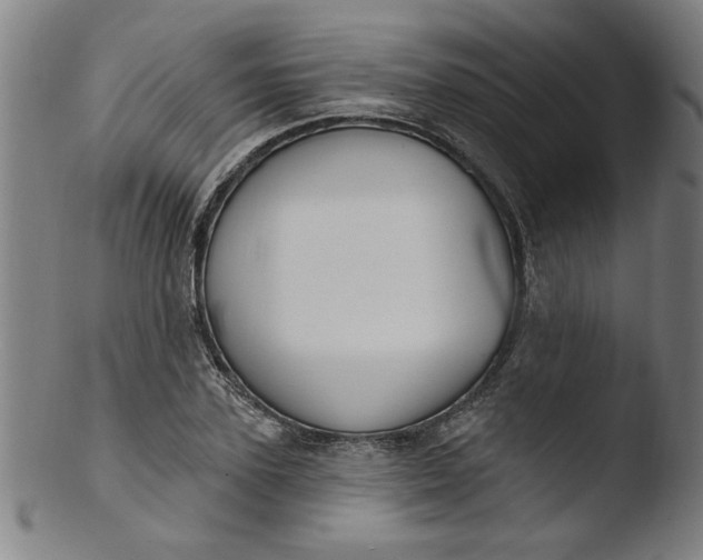 X0000103420931200809261703