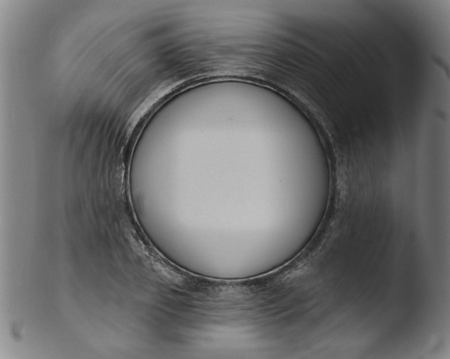 X0000103420933200809261703
