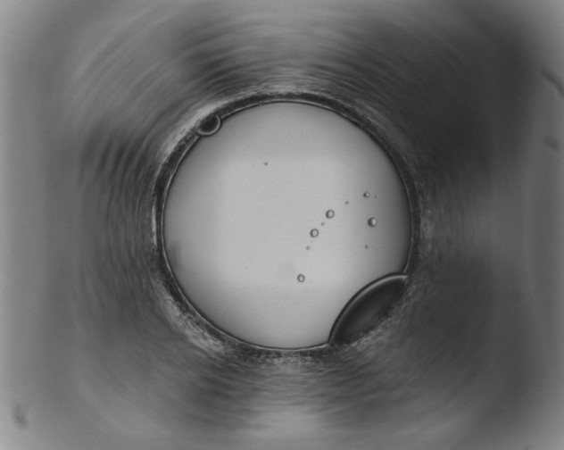 X0000103420934200809261703