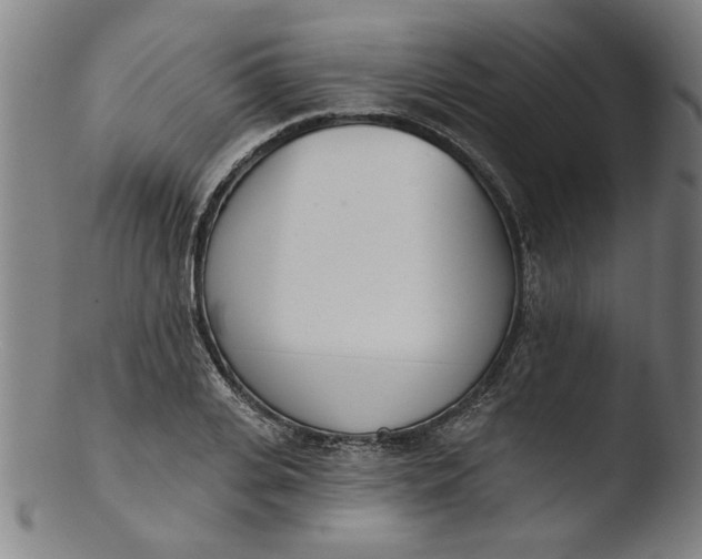 X0000103420935200809261703
