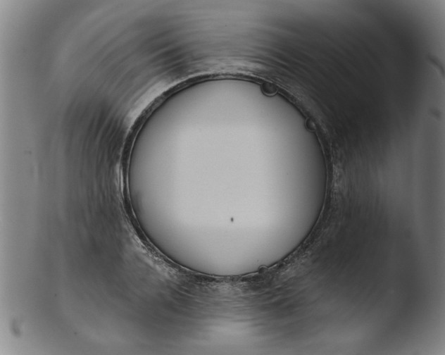 X0000103420936200809261703