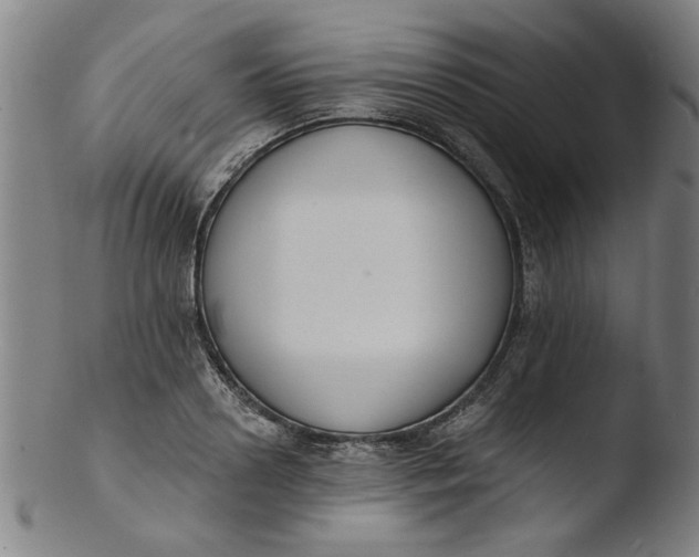 X0000103420938200809261703