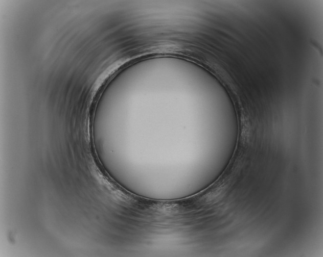 X0000103420939200809261703