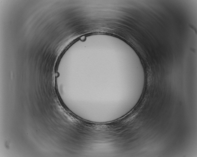 X0000103420940200809261703