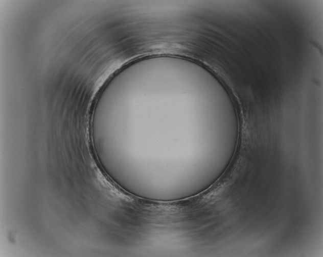 X0000103420941200809261703