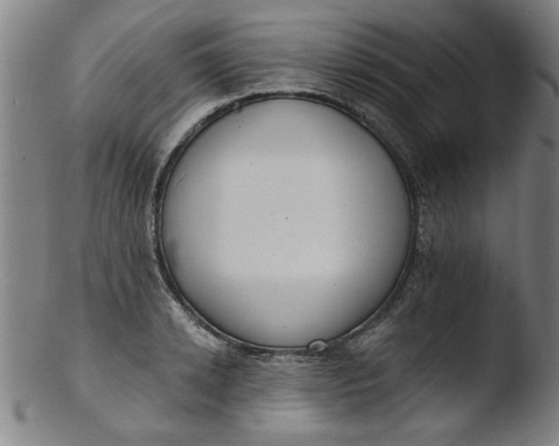 X0000103420942200809261703
