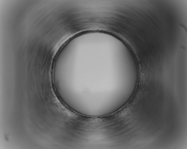 X0000103420943200809261703