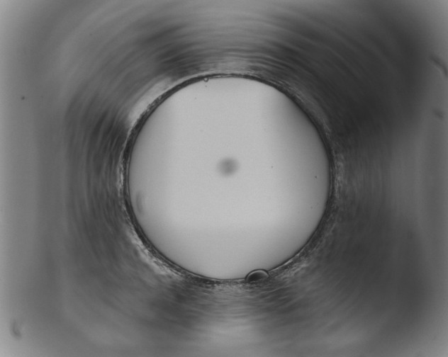 X0000103420944200809261703