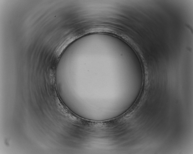 X0000103420945200809261703