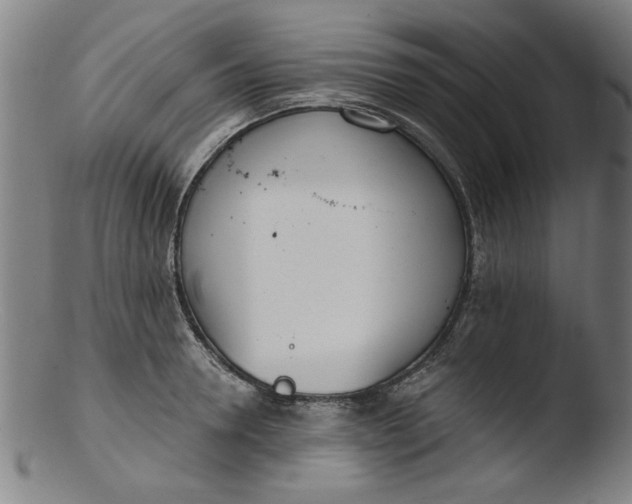 X0000103420946200809261703