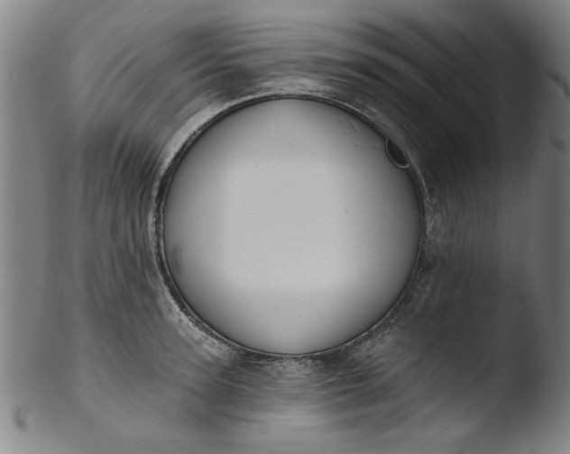 X0000103420947200809261703