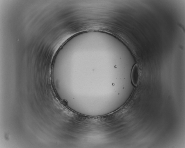 X0000103420948200809261704