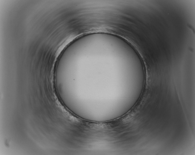 X0000103420949200809261704