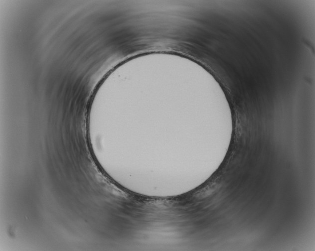 X0000103420950200809261704