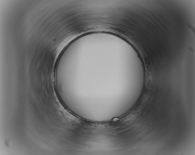 X0000103420951200809261704