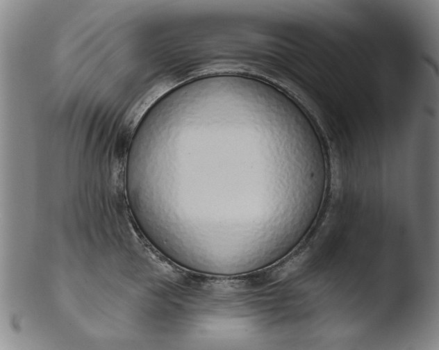 X0000103420953200809261704