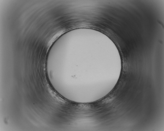 X0000103420954200809261704