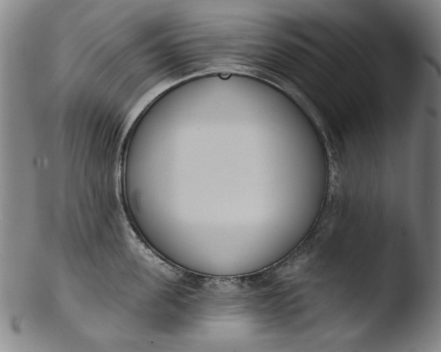 X0000103420955200809261704