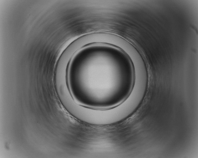 X0000103420956200809261704