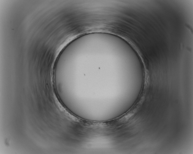X0000103420957200809261704