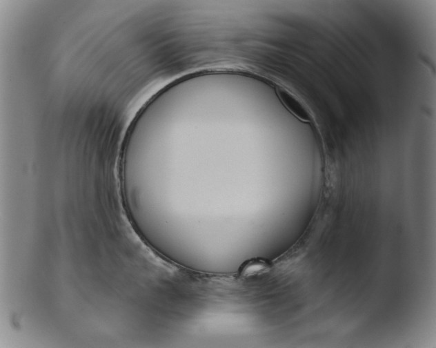 X0000103420959200809261704