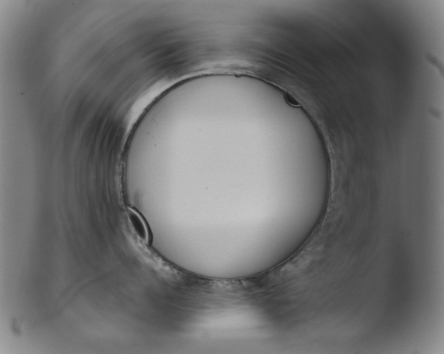 X0000103420960200809261704